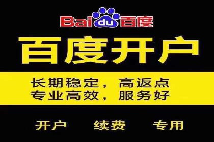 百度推广费用投入与品牌知名度提升的案例分析